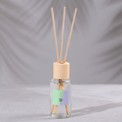 Диффузор ароматический "Модерн", 50 мл, лаванда и ментол, "Богатство Аромата" 4355373