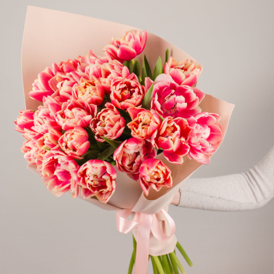 Букет из 25 пионовидных тюльпанов колумбус 46327