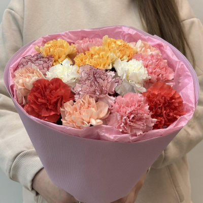 Букет из 15 цветных сортовых диантусов N 47542