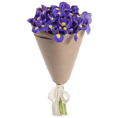 Букет из 15 синих Ирисов 7334