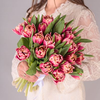Букет из 25 пионовидных тюльпанов Коламбус под ленту 46176