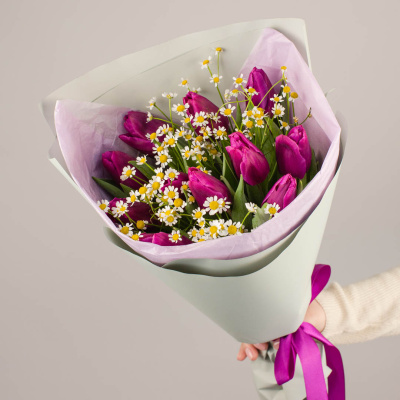 Букет из 11 фиолетовых тюльпанов с ромашками (танацетум) 46394